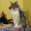 Отзыв от Роза Молчанова